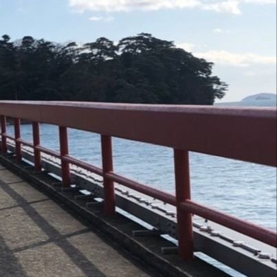 蟹