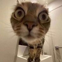 pxdthzi (@pxd4thzi) 's Twitter Profile