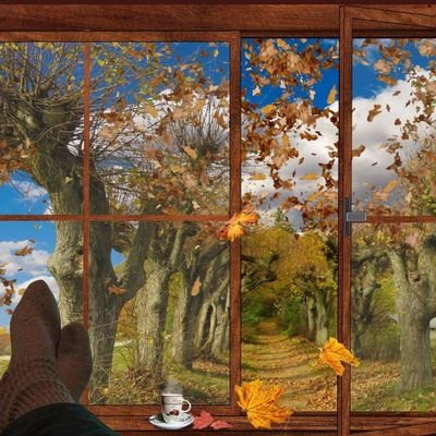 Pari54990160's profile picture. 