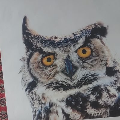 lmaneater's profile picture. 