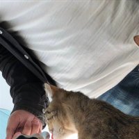 バルト (@7xvnqloozajv5iu) Twitter profile photo