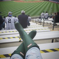 Baseball Girl (@baseballpeasant) 's Twitter Profile