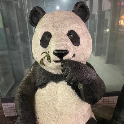 haijin_jinsei's profile picture. 