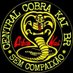 Central Cobra Kai BR (@CentralCobraKai) Twitter profile photo