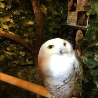 sui (@sui03413) 's Twitter Profile