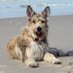 MS (Gesichert Unbequem) (@m61rusty) Twitter profile photo MS (Gesichert Unbequem) (@m61rusty) Twitter profile photo