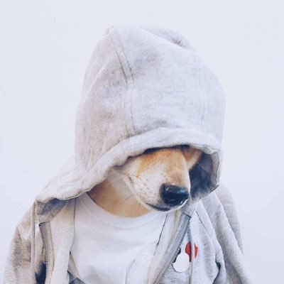 oliver0329's profile picture. Share whatsminer operation and maintenance tutorials, etc.