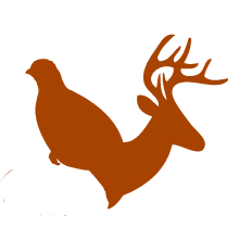 Family operated business located in West Tennessee. Guided hunts for quail, pheasant, turkey, and deer.