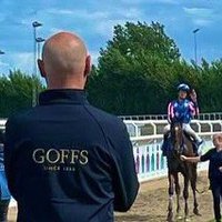 Goffs Scandinavia(@GoffsNordic) 's Twitter Profile Photo