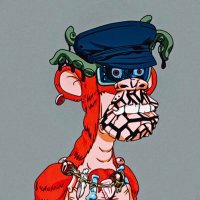 CryptoHolM (@jonnyvonhorst) 's Twitter Profile