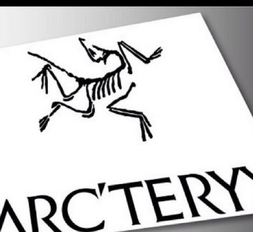 velluche8's profile picture. 