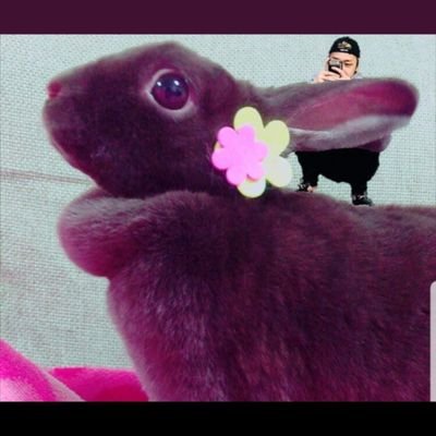 ❤︎B.A.Pしか勝たん❤︎でっちゃんෆ˚* Daehyun 대현❤︎⃜ @official_JDH93
🐰ウサギ飼い(ミニレッキス︎︎︎︎︎︎女の子👼🏻➕野性みが強すぎうさぎの双子🐰♂🐰♀➕ネザーの子(多分男の子)が新たに家族になりました)
NAIL💅✨大好き❤
ぬい達の服作り