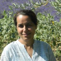 Shafali (@shafalishafali) 's Twitter Profile Photo Shafali (@shafalishafali) 's Twitter Profile Photo