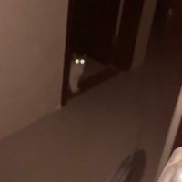 silence775 (@qpj12) 's Twitter Profile