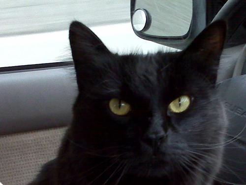 LeeLindaE's profile picture. Cooking, Eating, Skiing, Mountain Biking are my passions.