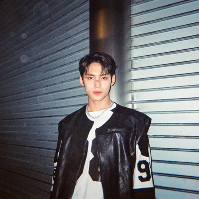 mingyu fanboi | 24