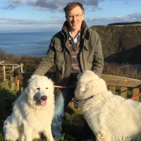 Code With Huw (@codewithhuw) 's Twitter Profile