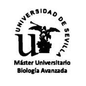 Máster Universitario en Biología Avanzada: Investigación y Aplicación
Facultad de Biología @BiologiaUS
Universidad de Sevilla @unisevilla