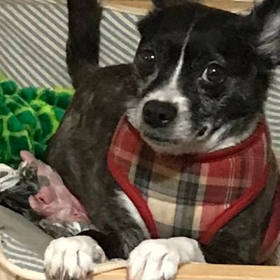 ninabeansd's profile picture. 