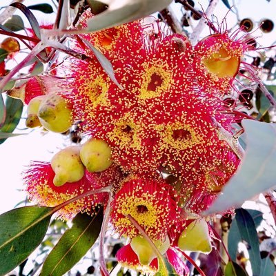 annieeangel's profile picture. 