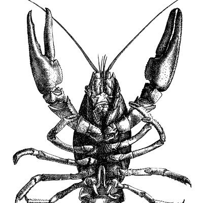 CrayfishFpl Profile Picture