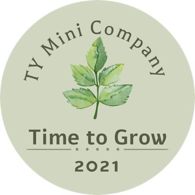 TY Mini Company
Customisable plant pots and grow your own plant kits