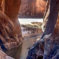 ابن القارة الأفريقية (@alaqeed_b) Twitter profile photo