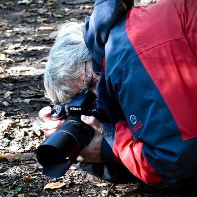 Freelance photographer.Tukker in Callantsoog. Workshops,teachingphotography, speaker. Also on bluesky. Facebook: https://t.co/AYr3FlGRTT