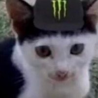 peepee (@rickyforsenate) 's Twitter Profile