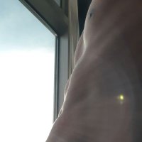 hcf (@hcf_hk) 's Twitter Profile