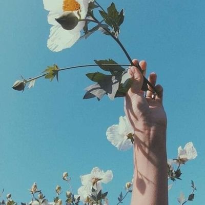 NLitimi's profile picture. janganlah hanya ingat main main di dunia yang fana ini,Semesta merindukanmu untuk pulang dalam kesadaran yang murni.