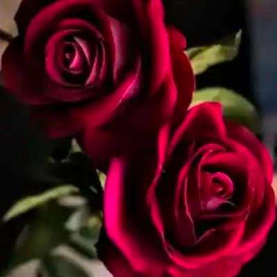 RobRoz11's profile picture. 32