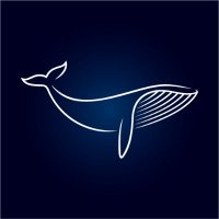 whalesshare (@whalesshare) 's Twitter Profile