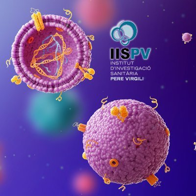 Disease Biomarkers and Molecular Mechanisms - DIBIOMEC Group from @IISPereVirgili, Joan XXIII Hospital (@hjoan23)
#biomarkers #inflammation #exovesicles #cancer