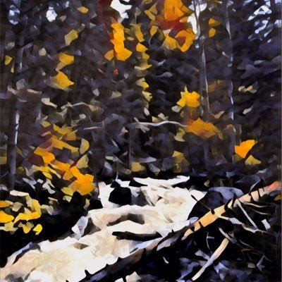 Bren03712858's profile picture. 