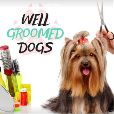 Well Groomed Dogs
