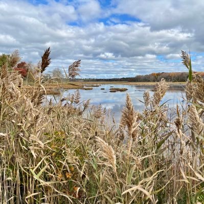 Big_Nick's profile picture. Follow me, you might chuckle...once.