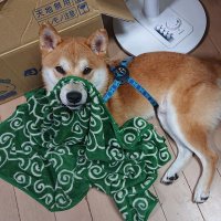 ケンキチ@駅メモ (@kenkiti1975) 's Twitter Profile Photo