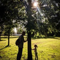 Sheehy83 (@sheehy_83) 's Twitter Profile Photo