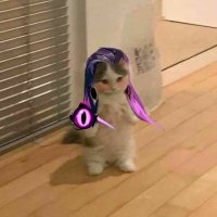 zFROST (@zfrost143) 's Twitter Profile