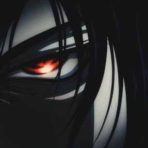 forxampp's profile picture. literally just xampp