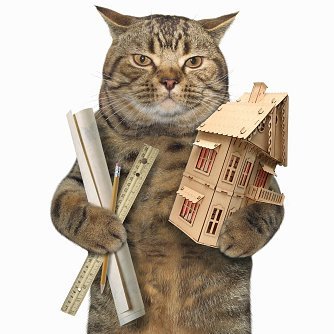 Architect CATE at your service - meow meow