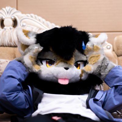 vv15551's profile picture. 喵喵喵