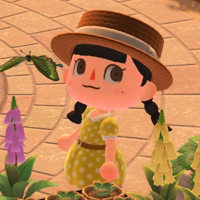 Carolさんのプロフィール画像