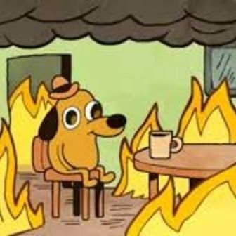 collin32706382's profile picture. 