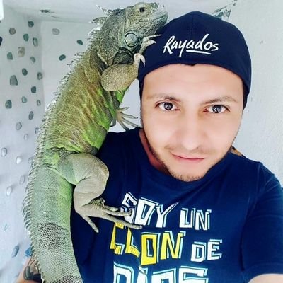 Hola soy Pako, soy Regio y Yo Soy Rayadoooo...