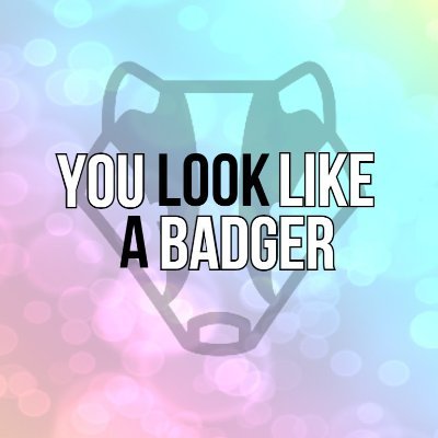 you look like a badger