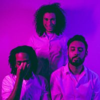 🦀 ALLITERATION 🦀 (@alliteration_ny) 's Twitter Profile