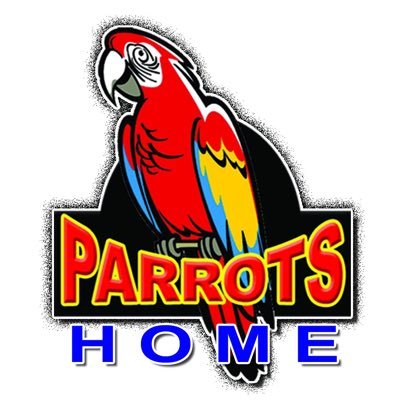 Deals in All Type of fancy and exotic PARROTS call 0304-1267029