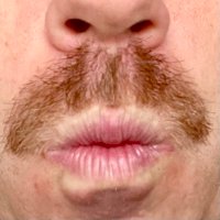 Clint’s Mustache (@clintsmustache) 's Twitter Profile Photo